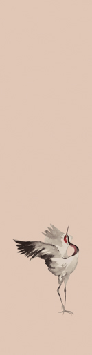 Marburger Tapete 63477 2,70 x 0,70 m Crush Motion DD 2025 verläng.2026